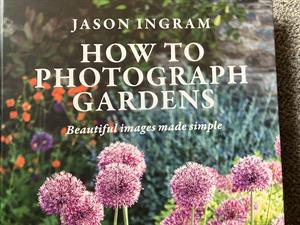 Ingram